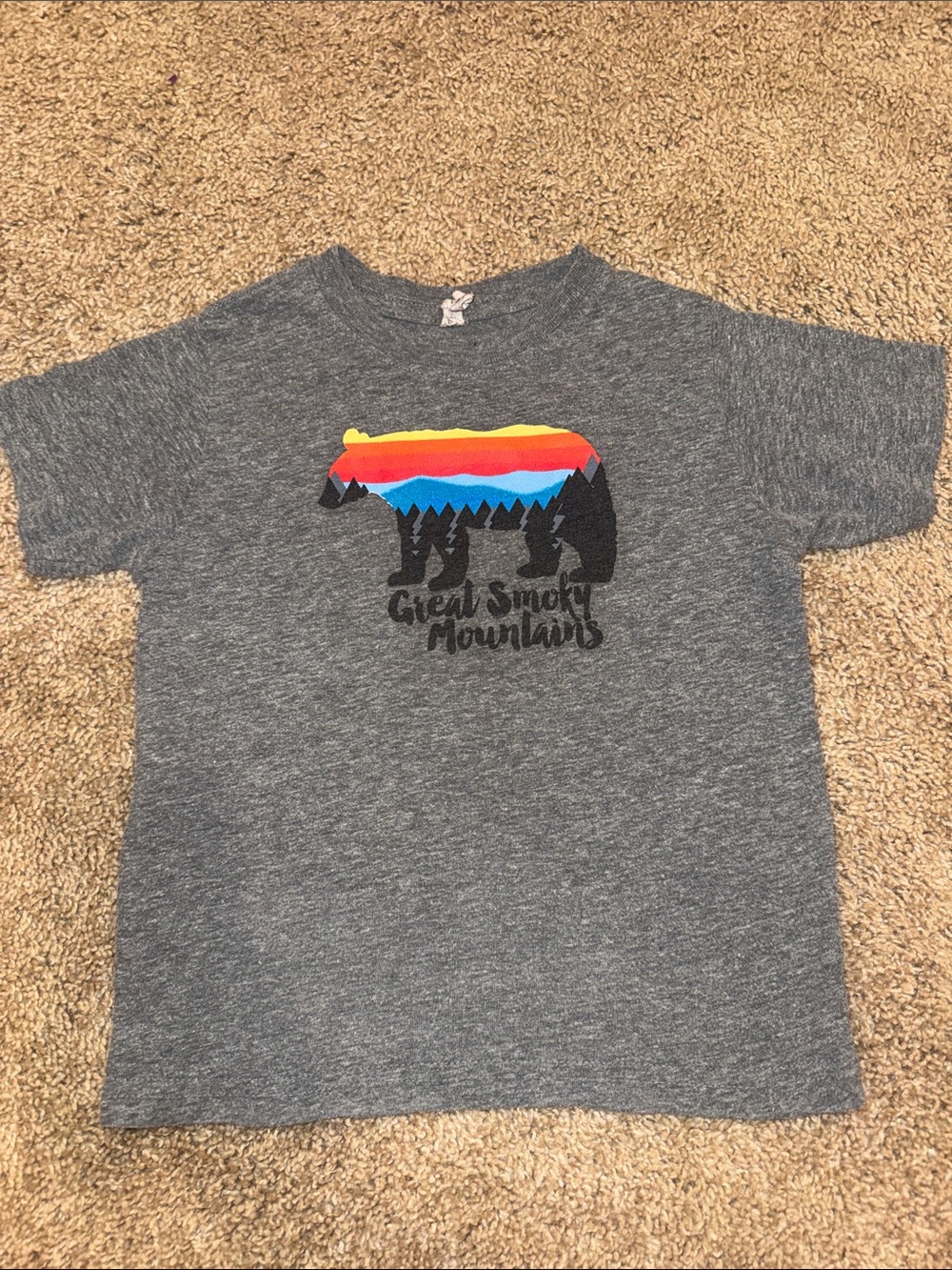 Great Smoky Mountains Kids Heather Gray Graphic Tee